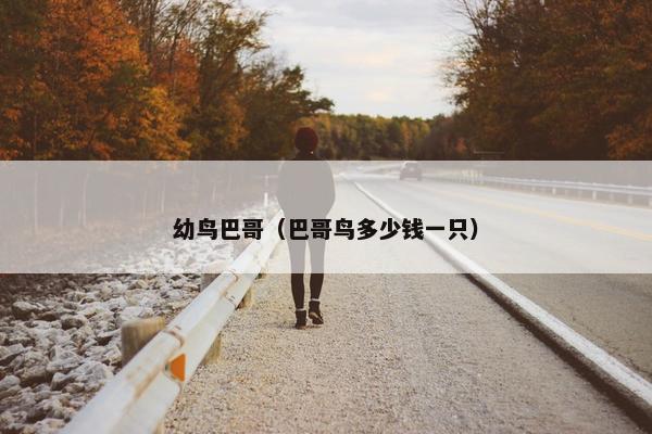 幼鸟巴哥（巴哥鸟多少钱一只）