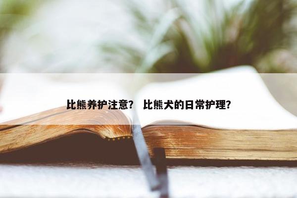 比熊养护注意？ 比熊犬的日常护理？