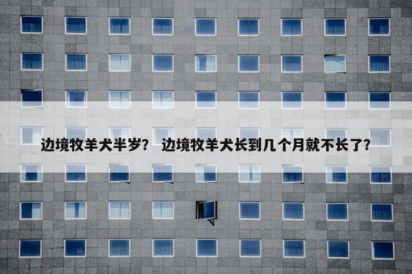边境牧羊犬半岁？ 边境牧羊犬长到几个月就不长了？