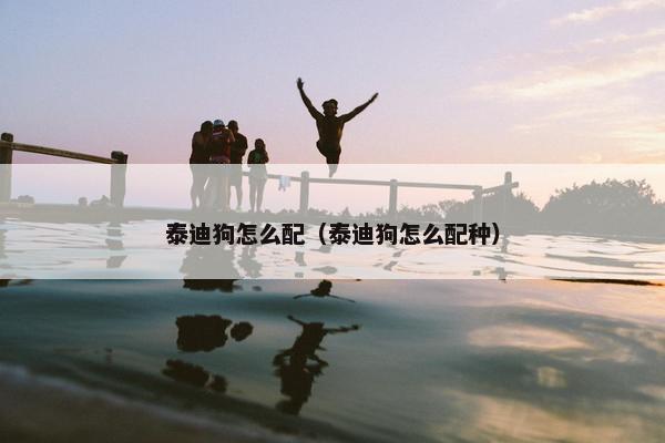 泰迪狗怎么配（泰迪狗怎么配种）