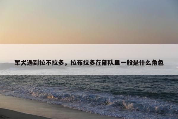 军犬遇到拉不拉多，拉布拉多在部队里一般是什么角色