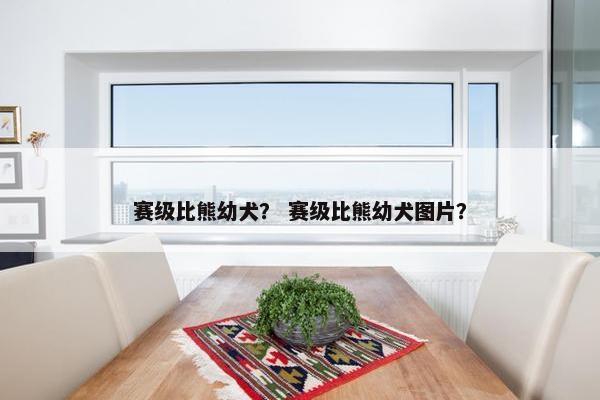 赛级比熊幼犬？ 赛级比熊幼犬图片？
