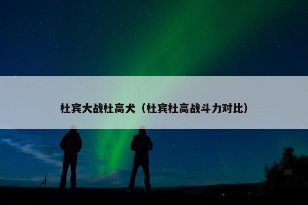 杜宾大战杜高犬（杜宾杜高战斗力对比）