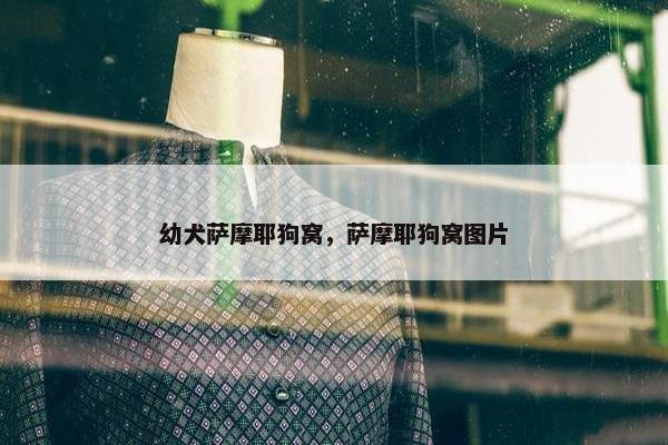 幼犬萨摩耶狗窝，萨摩耶狗窝图片