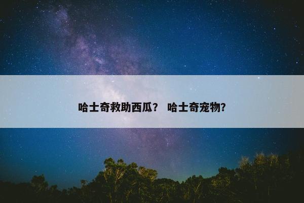 哈士奇救助西瓜？ 哈士奇宠物？