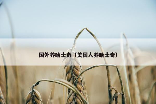 国外养哈士奇（美国人养哈士奇）