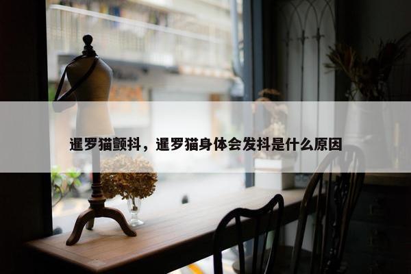 暹罗猫颤抖，暹罗猫身体会发抖是什么原因