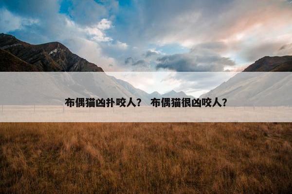 布偶猫凶扑咬人？ 布偶猫很凶咬人？