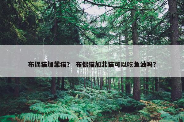 布偶猫加菲猫？ 布偶猫加菲猫可以吃鱼油吗？