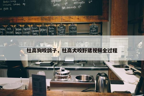 杜高狗咬鸽子，杜高犬咬野猪视频全过程