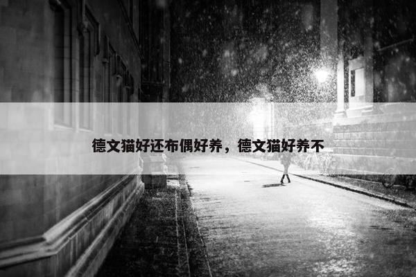 德文猫好还布偶好养，德文猫好养不