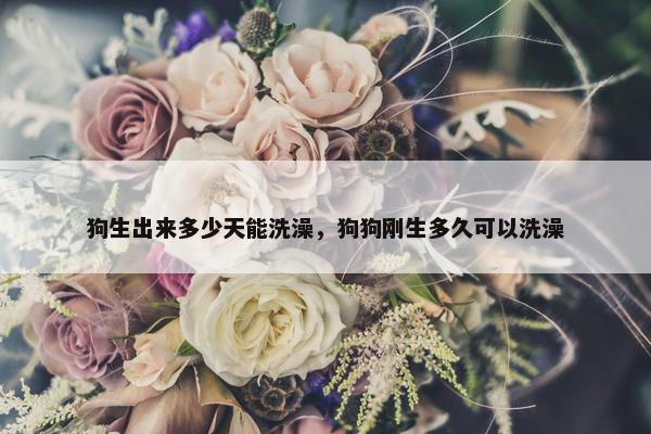 狗生出来多少天能洗澡，狗狗刚生多久可以洗澡