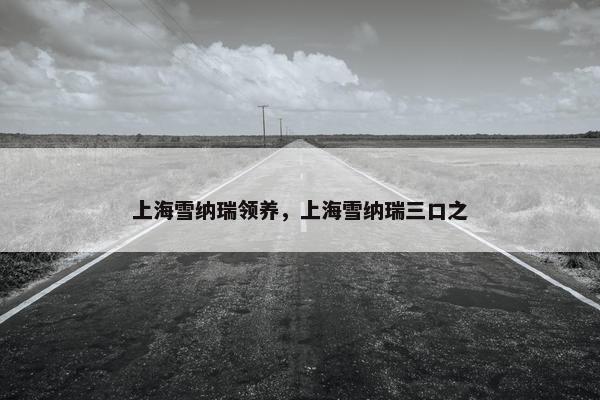 上海雪纳瑞领养，上海雪纳瑞三口之
