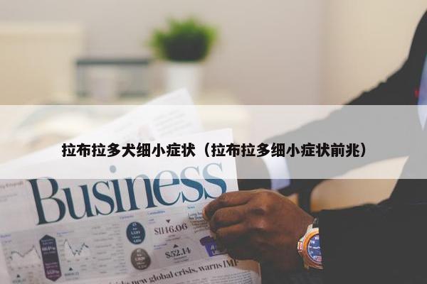 拉布拉多犬细小症状（拉布拉多细小症状前兆）