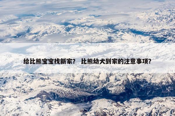 给比熊宝宝找新家？ 比熊幼犬到家的注意事项？