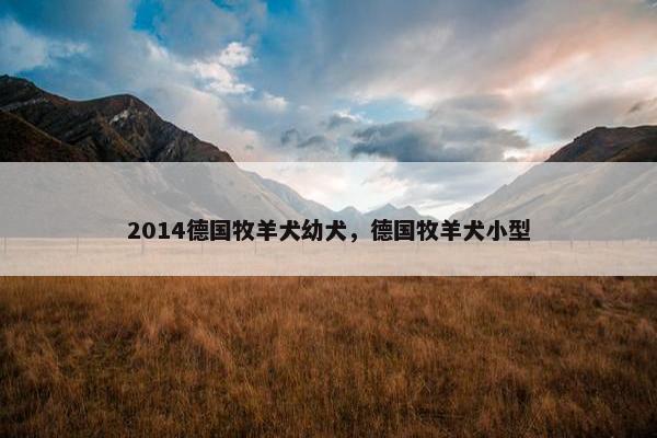 2014德国牧羊犬幼犬，德国牧羊犬小型