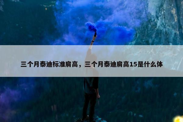 三个月泰迪标准肩高，三个月泰迪肩高15是什么体
