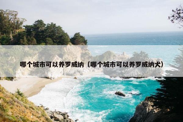 哪个城市可以养罗威纳（哪个城市可以养罗威纳犬）