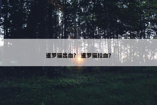 暹罗猫出血？ 暹罗猫拉血？