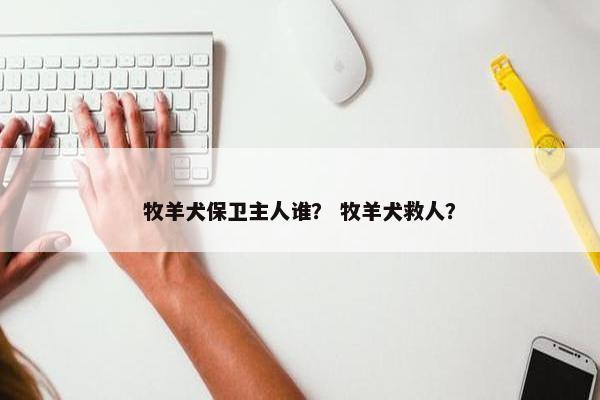 牧羊犬保卫主人谁？ 牧羊犬救人？