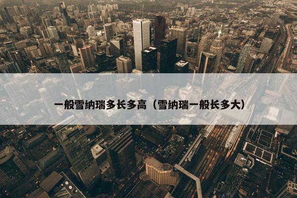 一般雪纳瑞多长多高（雪纳瑞一般长多大）