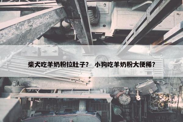 柴犬吃羊奶粉拉肚子？ 小狗吃羊奶粉大便稀？
