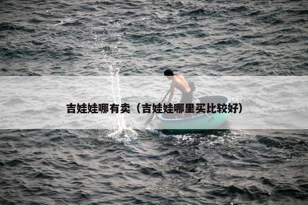 吉娃娃哪有卖（吉娃娃哪里买比较好）