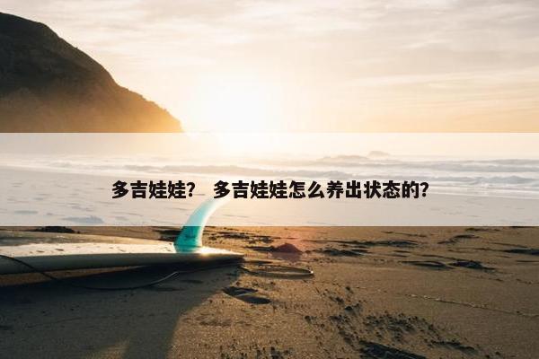 多吉娃娃？ 多吉娃娃怎么养出状态的？