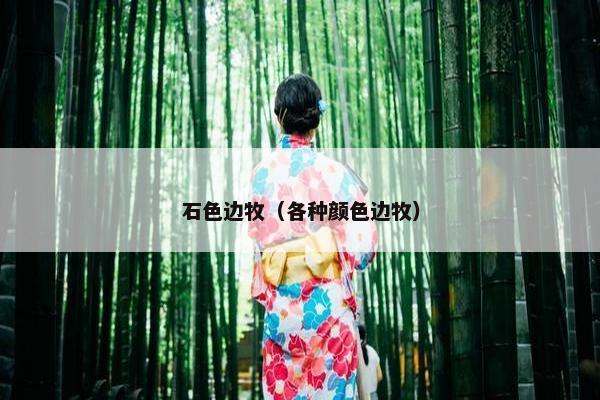 石色边牧（各种颜色边牧）