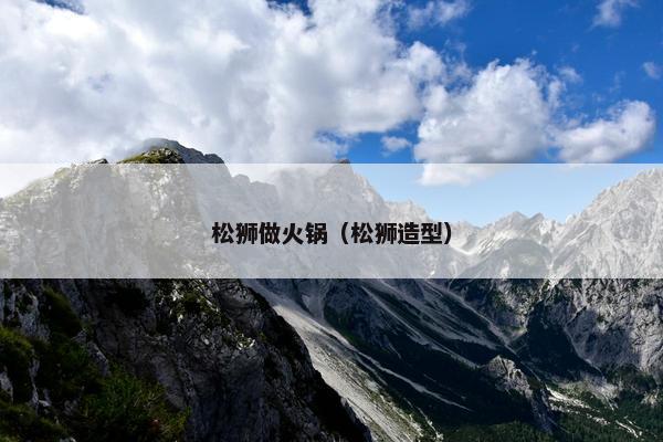 松狮做火锅（松狮造型）