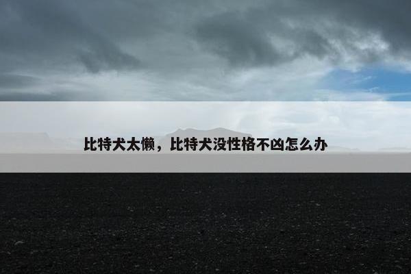 比特犬太懒，比特犬没性格不凶怎么办