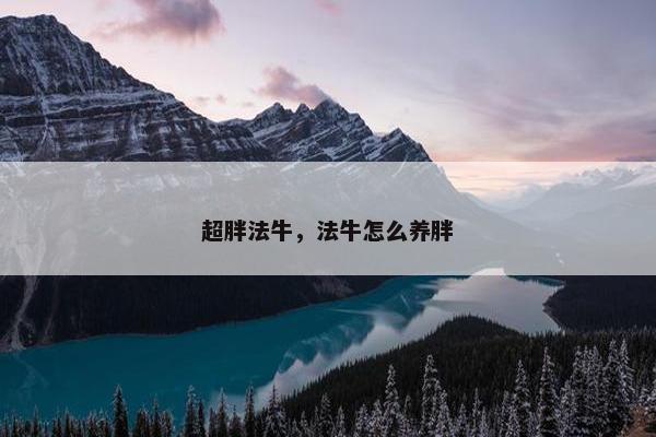 超胖法牛，法牛怎么养胖