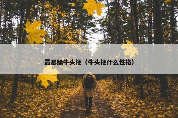 最暴躁牛头梗（牛头梗什么性格）