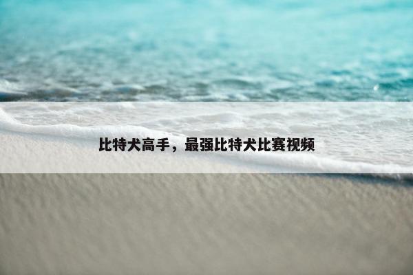 比特犬高手，最强比特犬比赛视频