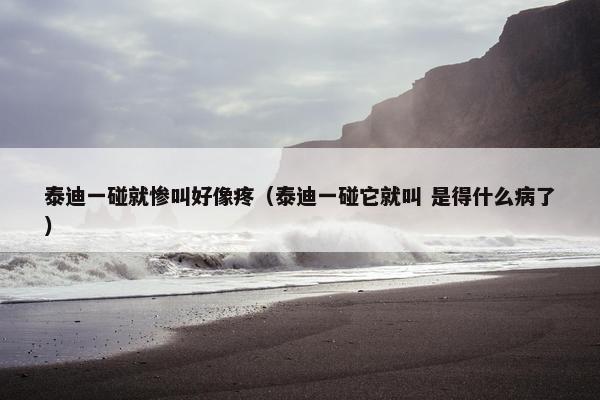 泰迪一碰就惨叫好像疼（泰迪一碰它就叫 是得什么病了）