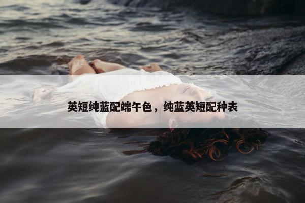 英短纯蓝配端午色，纯蓝英短配种表