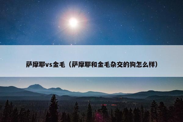 萨摩耶vs金毛（萨摩耶和金毛杂交的狗怎么样）