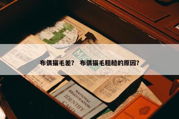 布偶猫毛差？ 布偶猫毛粗糙的原因？
