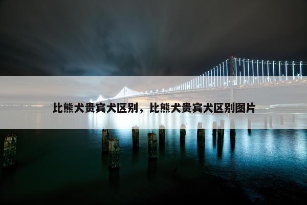 比熊犬贵宾犬区别，比熊犬贵宾犬区别图片