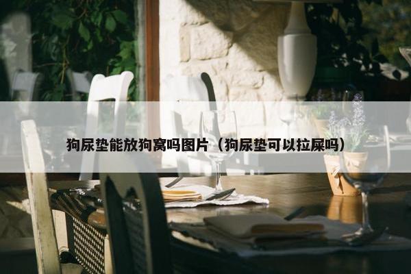 狗尿垫能放狗窝吗图片（狗尿垫可以拉屎吗）