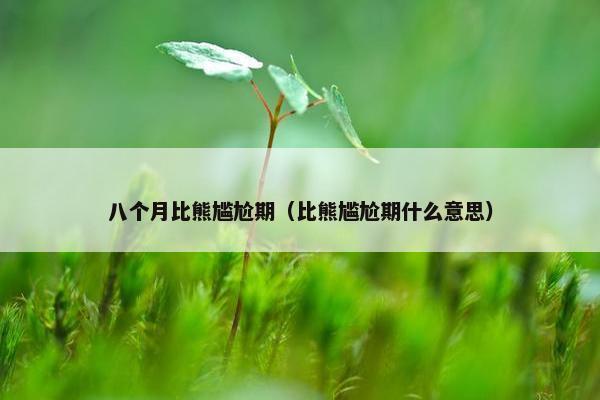 八个月比熊尴尬期（比熊尴尬期什么意思）