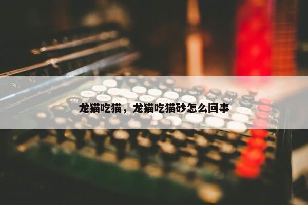 龙猫吃猫，龙猫吃猫砂怎么回事