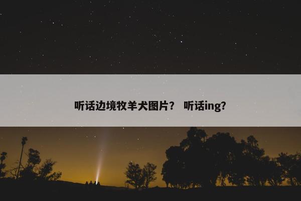 听话边境牧羊犬图片？ 听话ing？