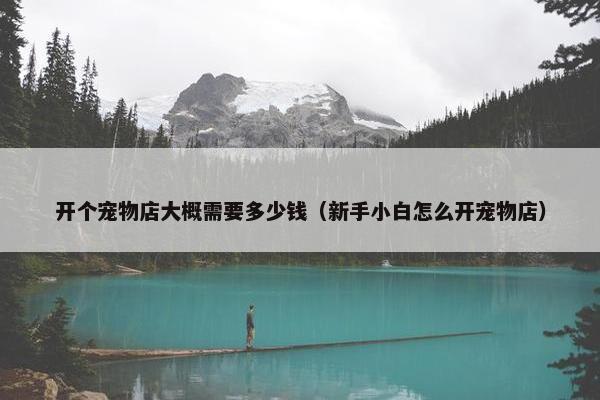 开个宠物店大概需要多少钱（新手小白怎么开宠物店）