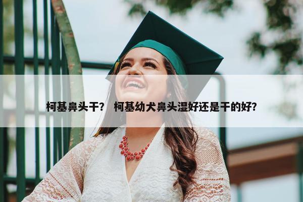 柯基鼻头干？ 柯基幼犬鼻头湿好还是干的好？