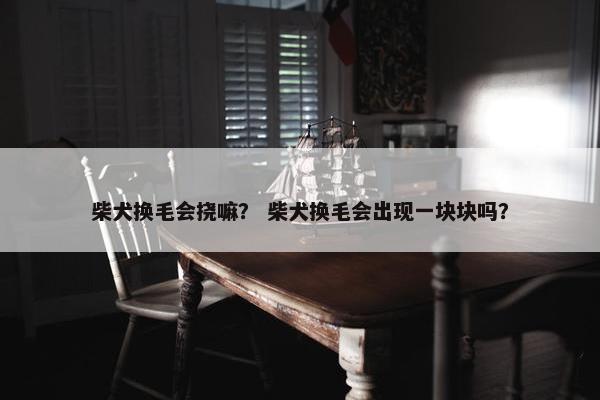 柴犬换毛会挠嘛？ 柴犬换毛会出现一块块吗？