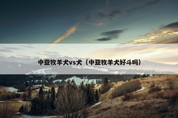 中亚牧羊犬vs犬（中亚牧羊犬好斗吗）