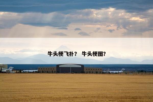 牛头梗飞扑？ 牛头梗图？