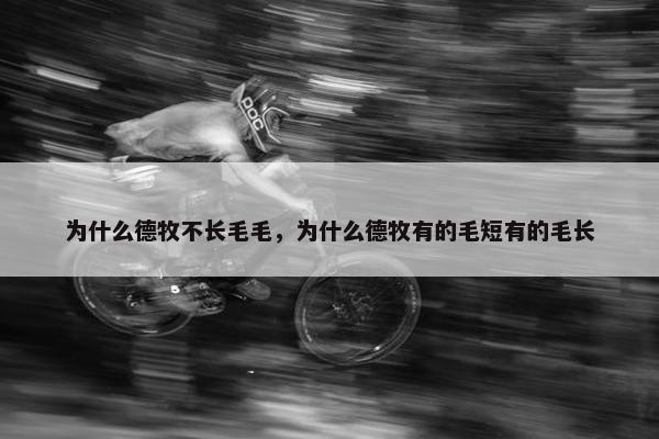 为什么德牧不长毛毛，为什么德牧有的毛短有的毛长
