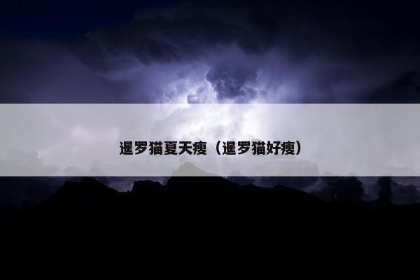 暹罗猫夏天瘦（暹罗猫好瘦）